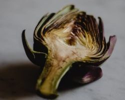 Artichoke leaves