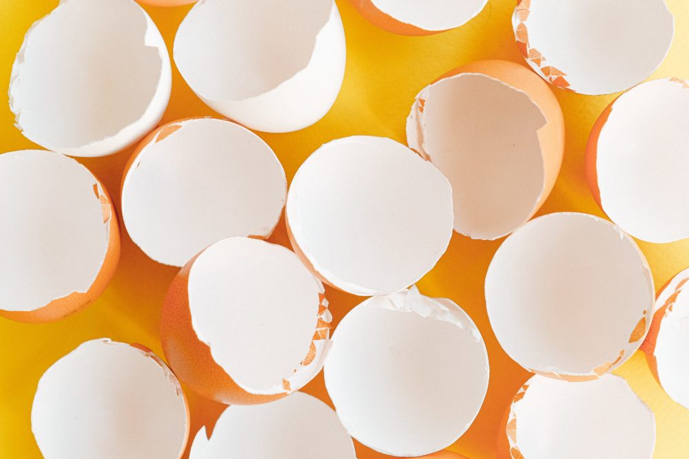 Eggshells