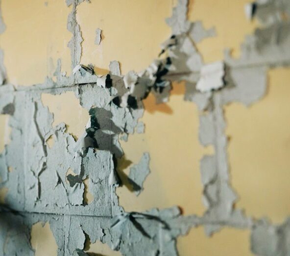 Paint featured e1691588072928