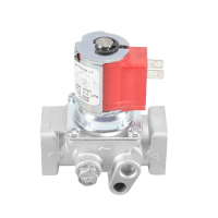 Bga171eda-1dabc baso gas products gas valves jackson systems 21462