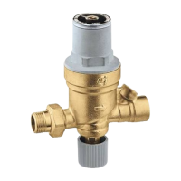 553542a caleffi combustion-heating:boiler controls jackson systems 22943