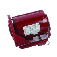 Regal Hw2024Bl Single Phase Motor 1/4 Hp 115V 1725 Rpm 48 Frame 18 Hw2024bl regal rexnord tools & other accessories jackson systems 24038