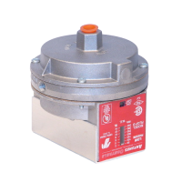 A.j. Antunes 803114101 Rlgp‑D Auto‑Reset Low Gas Pressure Switch 22 803114101 a. J. Antunes electrical:pressure control jackson systems 24881