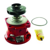 189166lf xylem circulating pump jackson systems 25526