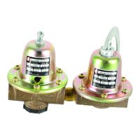 Xylem 110199Lf Dual Reducing Valve #8 – 1/2″, 12 Psi &Amp; 30 Psi Set 22 110199lf xylem pressure regulating valve jackson systems 25638