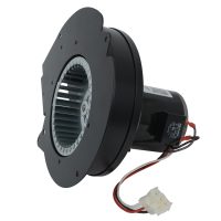 66202 360image 03 anglefront