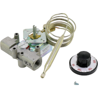 4290-008 robertshaw thermostats jackson systems 30022
