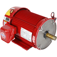 169223 xylem circulating pump jackson systems 33617