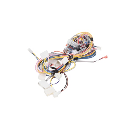 Burnham boiler 103009-04 main harness for sage 2x control systems