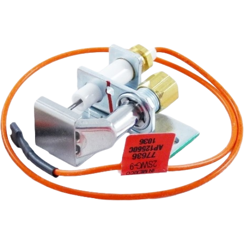 Rheem-ruud sp12560c lp ignitor/sensor assembly
