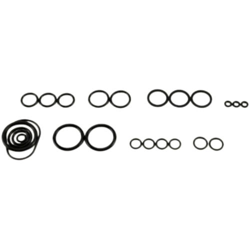 Rheem-ruud rtg20206 oring kit palona