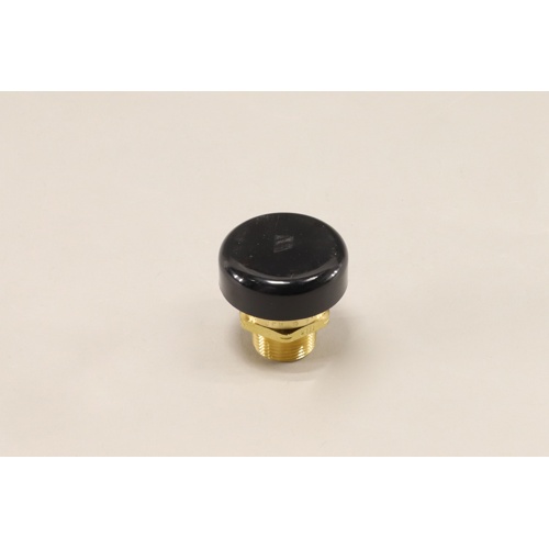 Watts 0556031 n36 3/4" vacuum relief valve for water service