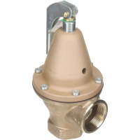 F121544 watts water heaters jackson systems 33898