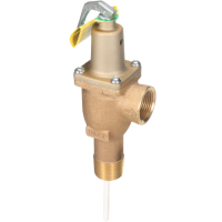 F163805 watts water heaters jackson systems 33911