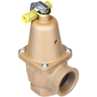 F382870 watts combustion-heating:boiler controls jackson systems 33930