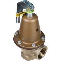 F276250 watts combustion-heating:boiler controls jackson systems 33937