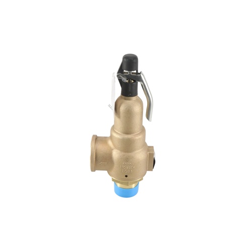 Kunkle valve 6021jht01aam0050 2x2. 5 50# 4260pph steam relief valve