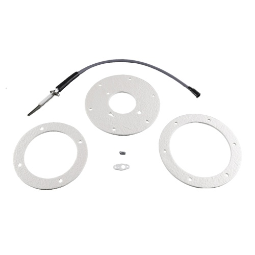 Lochinvar & a. O. Smith 100191120 spark ignitor assembly