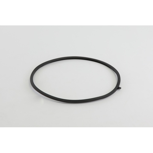 Lochinvar & a. O. Smith 100208093 door gasket