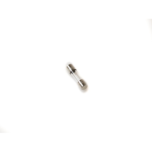 Lochinvar & a. O. Smith 100290102 6. 3a fuse
