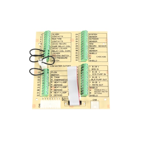 Lochinvar & a. O. Smith 100351933 control board