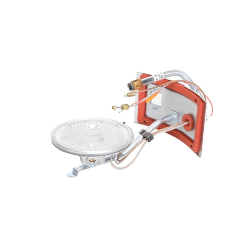 Rheem-ruud am50501 natural gas burner/door assembly