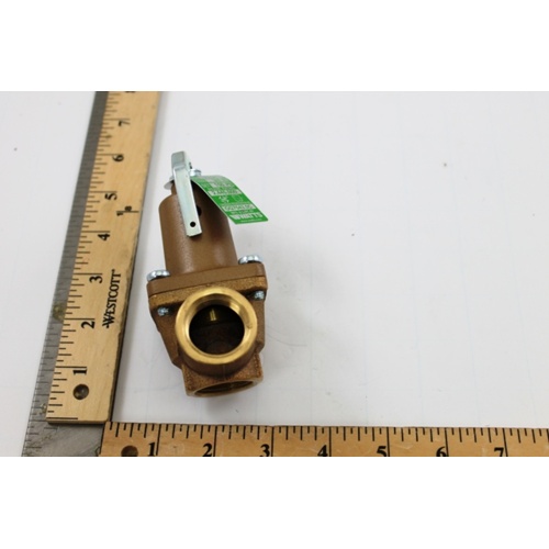Raypak 007225f 3/4" 150# 2,445,000 btu relief valve