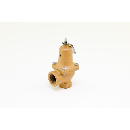 Raypak 007753f 3/4" 60# relief valve