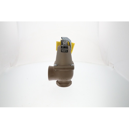 Raypak 007754f 60# pressure relief valve