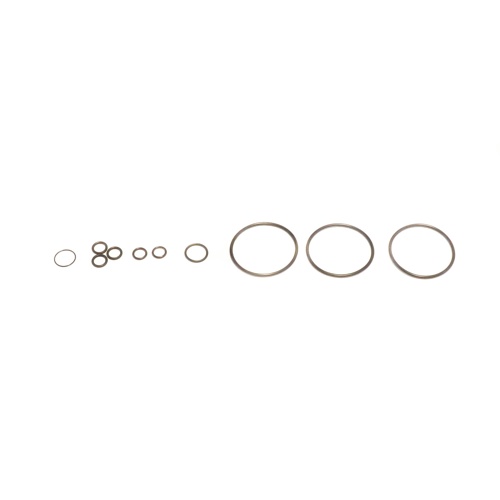 Raypak 012440f adaptor and gas valve o-rings