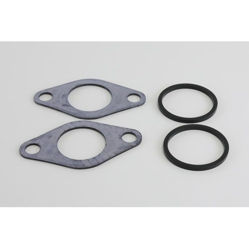 Raypak 013423f pump flange gasket