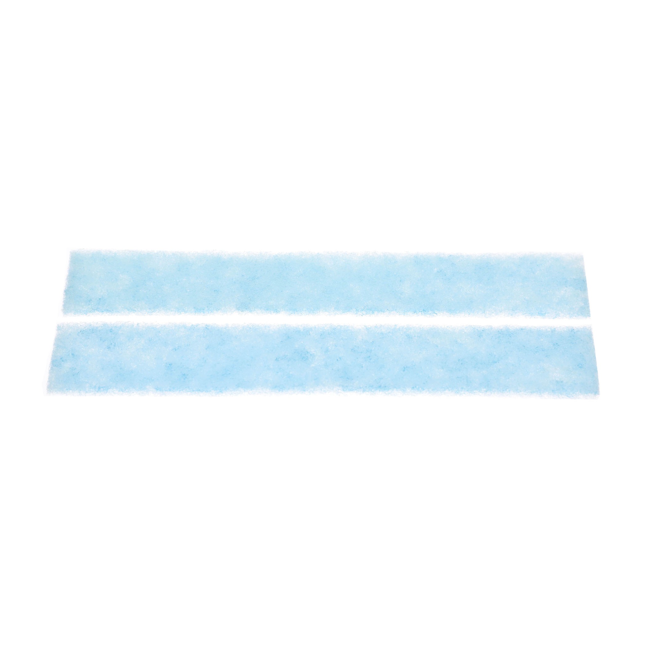 Rheem-ruud k9315361042 ion deodorant filter (2 pcs)
